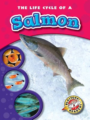 cover image of The Life Cycle of a Salmon